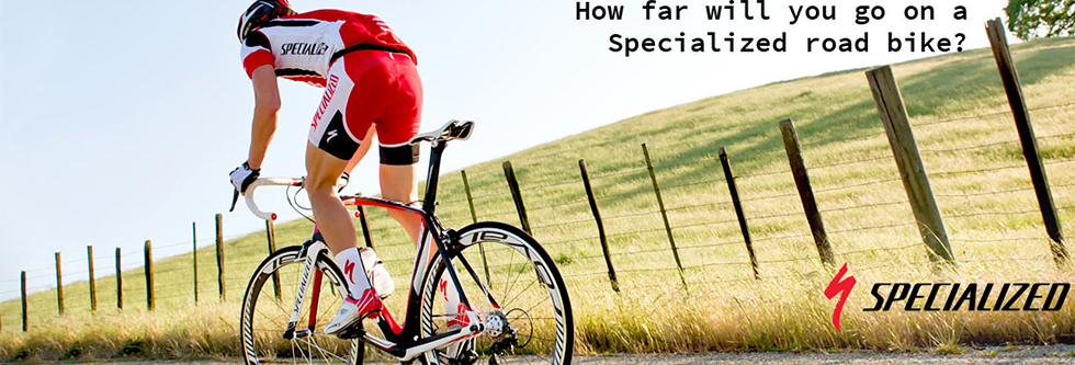 Specialized Cyling Jersey Sale